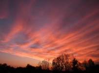 Galeriebild