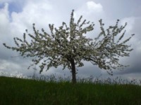 Galeriebild