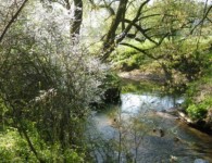 Galeriebild