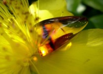 Galeriebild