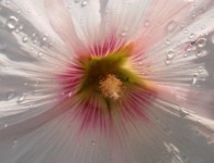 Galeriebild