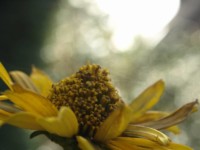 Galeriebild
