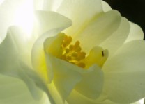 Galeriebild