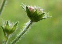 Galeriebild