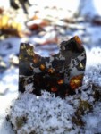Galeriebild