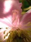Galeriebild