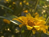 Galeriebild