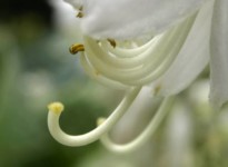 Galeriebild